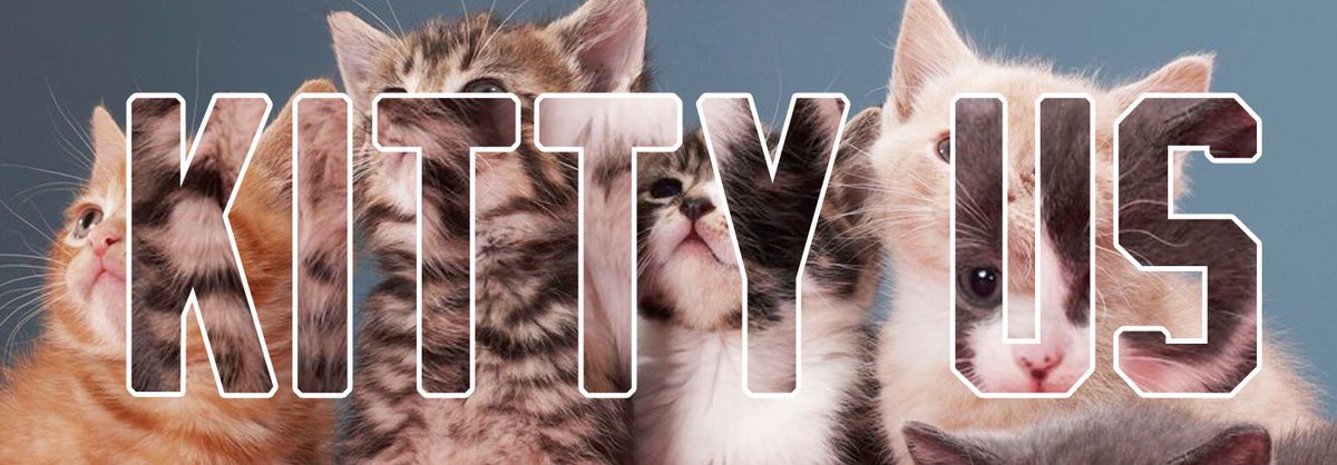 Runners & Cats tweet media