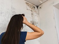#Mould can be a scary situation that could affect your health. Call our experts at 905-728-9380 for help. ow.ly/kkqz30bV4Ob