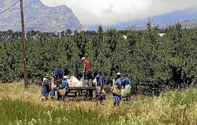 GrainSA's tweet photo. It's not just drought that puts South Africa's food at risk https://t.co/ML7LBkjDKA #GrainSA #agriculture #risk https://t.co/PFRQG7vOhR