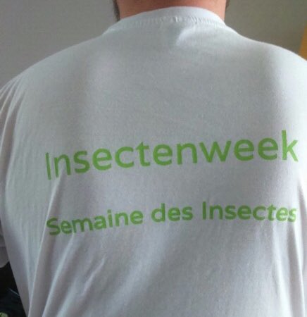 Semaine Insect Week tweet media