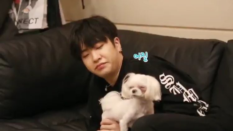 yu_yu_yoon's tweet photo. ตอนแรกไม่ค่อยเชื่อหรอกว่าหมาจะเหมือนเจ้าของจนกระทั่ง.... https://t.co/D4MUnvq1YM
