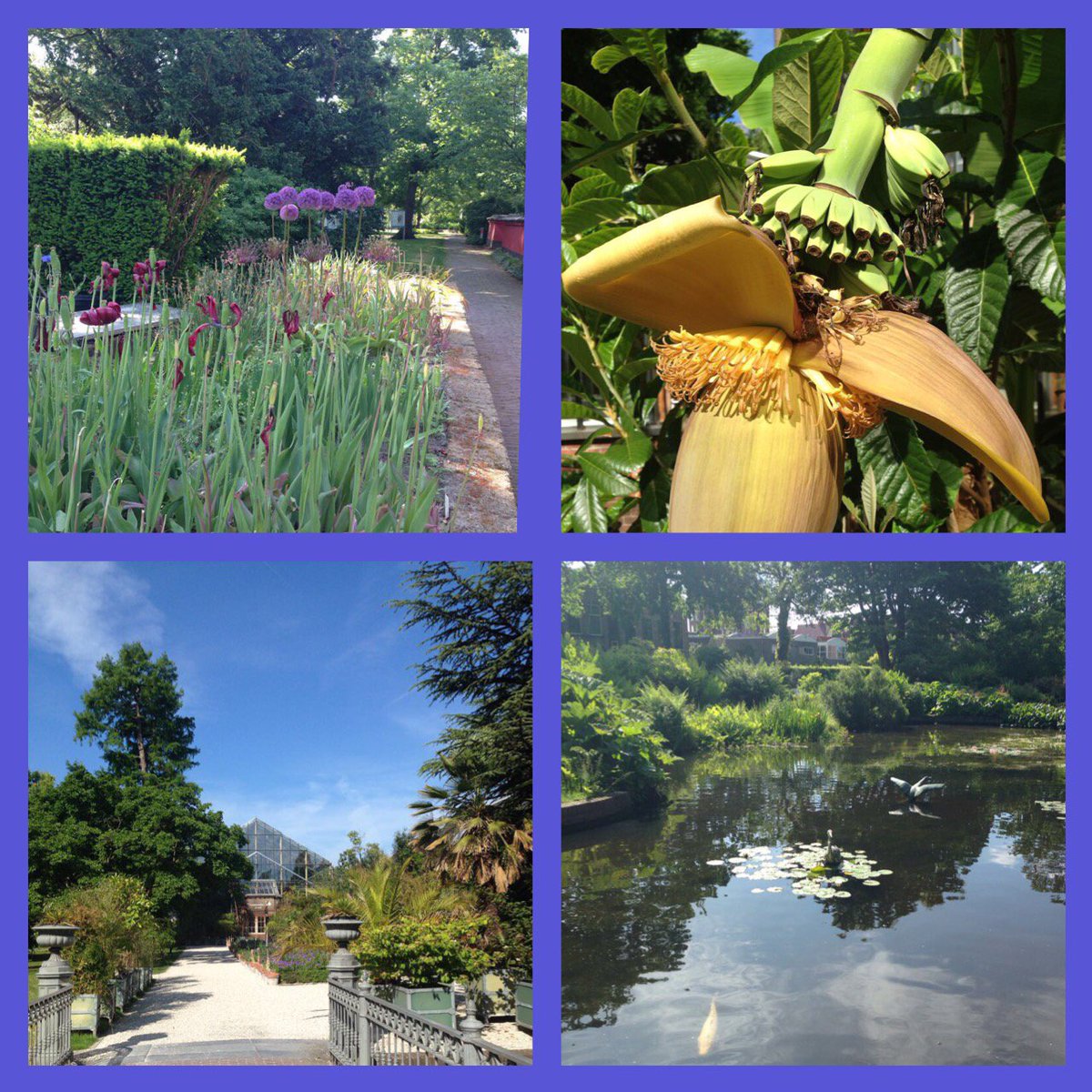 Wat een mooie dag voor het uitstapje van onze oudste kleuters naar <a href="/HortusLeiden/">Hortus Leiden</a> #devinkgaatopstap