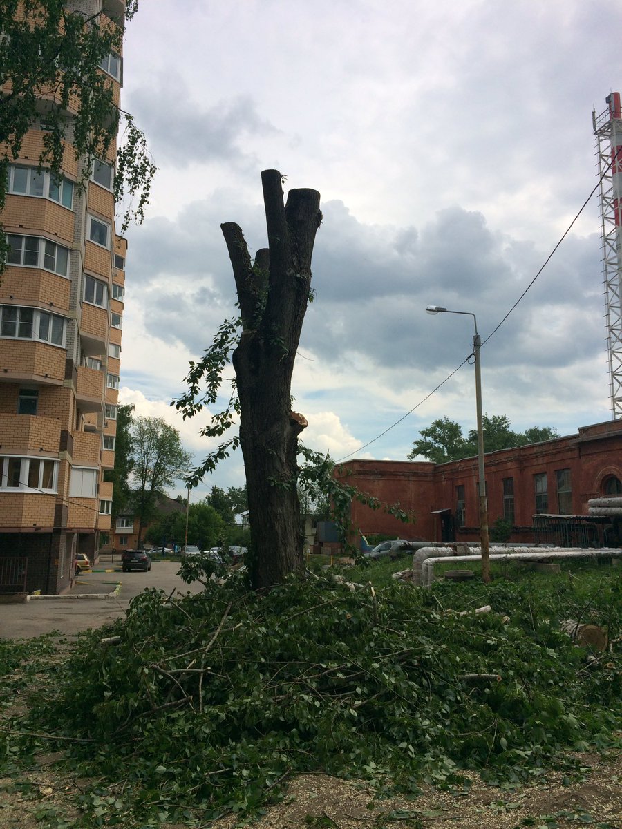 ass_tehnik's tweet photo. Спил дерева. https://t.co/Mm3jUAuWGL