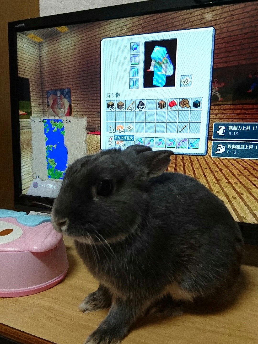 Meitomo 昨日のps4版マインクラフトのアップデートで ついにエリトラで飛行中にロケット花火が使えるようになりました さらに 左手にアイテムを持つことも可能に もうpc版と同じですね ちなみに テレビの前に写ってるうさぎの名はクロ うさぎ