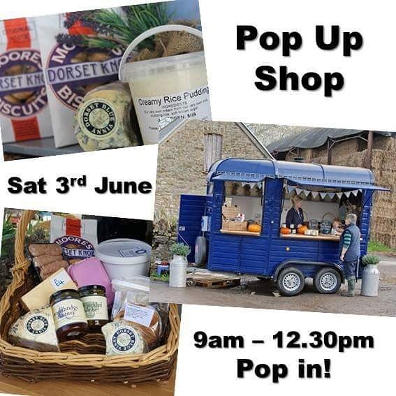 DorsetBlueVinny's tweet photo. Our Pop Up Shop will be back again this Saturday... pop in! #dorsetbluevinny #popupshop https://t.co/dn3HIViju6