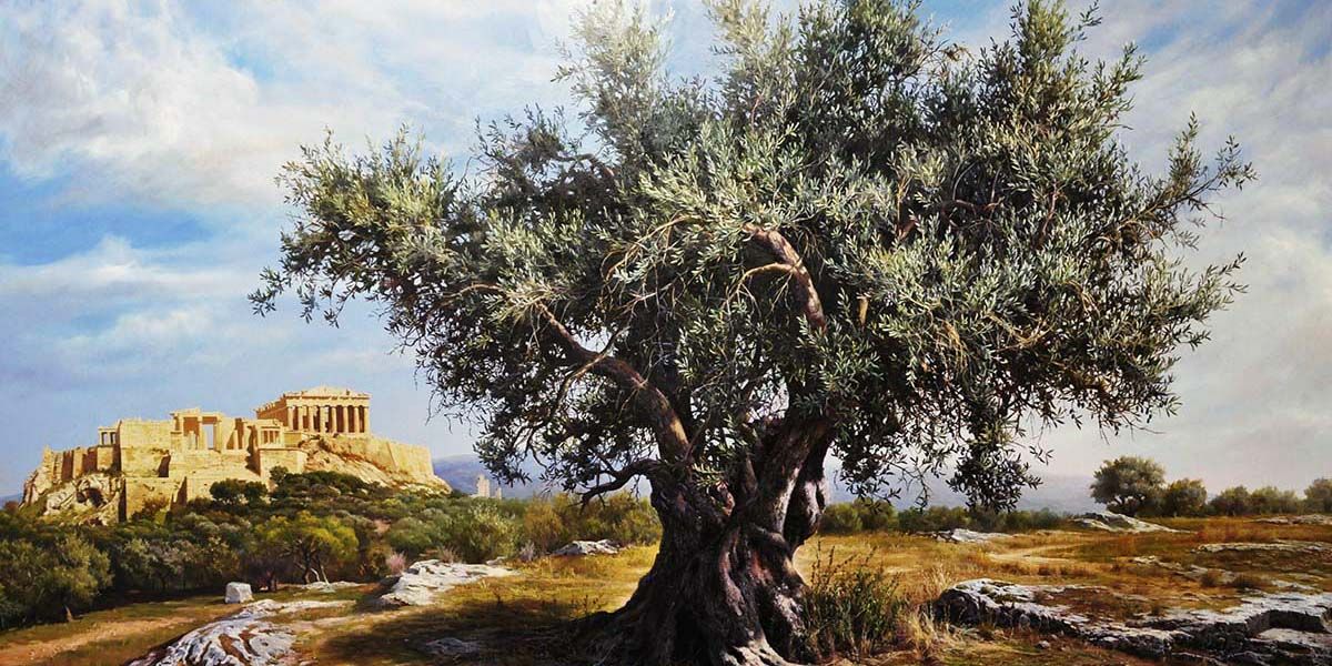 Mucizevi zeytinin mitolojik hikâyesi ve tarihi gaiadergi.com/mucizevi-zeyti… #zeytinimedokunma