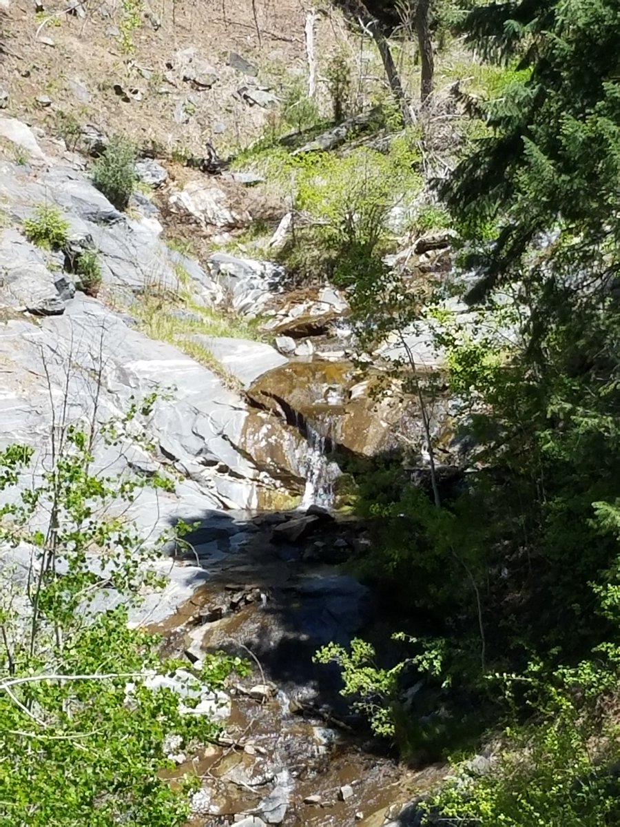 onesunchasers's tweet photo. At the office today, but had a great time #Hiking in #Genesse Park yesterday. Near #Golden #Colorado. https://t.co/Kt4aZtoTaA