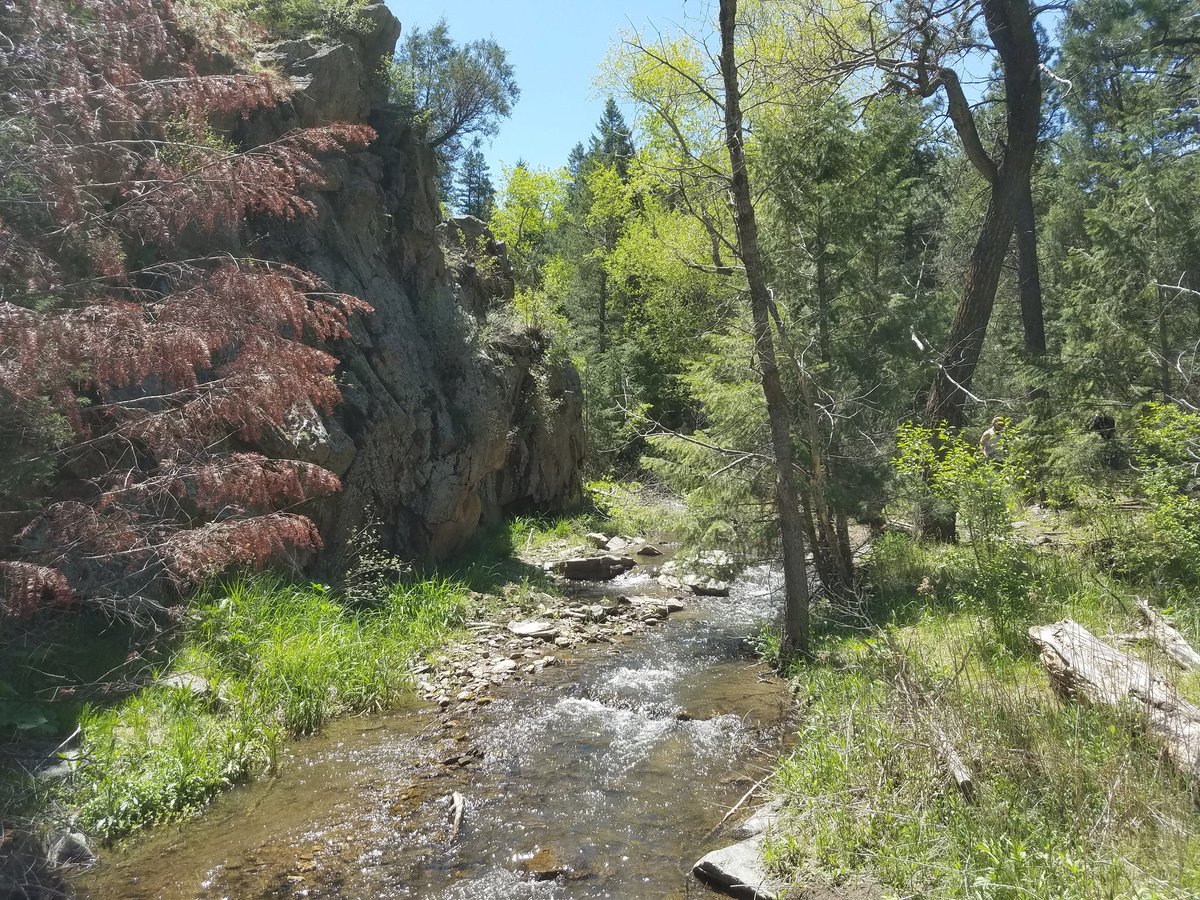 onesunchasers's tweet photo. At the office today, but had a great time #Hiking in #Genesse Park yesterday. Near #Golden #Colorado. https://t.co/Kt4aZtoTaA