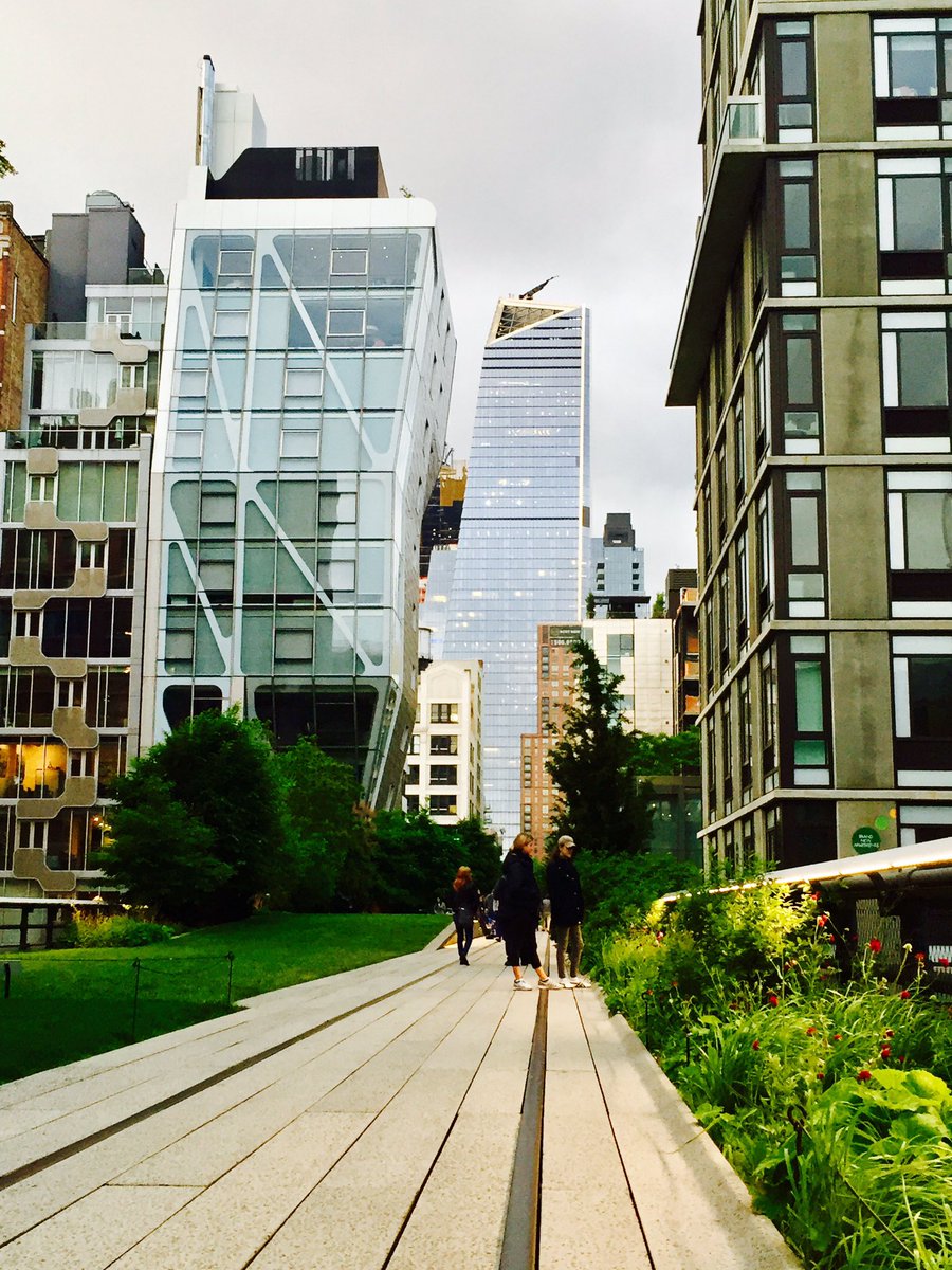 SandNative's tweet photo. A bit of green in the concrete jungle https://t.co/wT6Y80aSDR