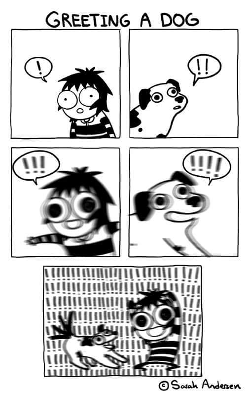 KempoThePug's tweet photo. This is exactly how I like to meet humans! https://t.co/nKqAnZSijJ