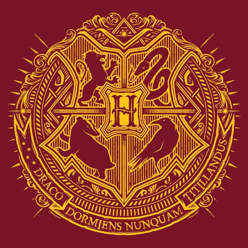 Hogwartssite's tweet image. ¡SORTEAMOS estas camisetas Pampling! ¿Con cuál te quedas?⚡️ 
Haz RT y sigue a @PamplingNews y @Hogwartssite para participar.