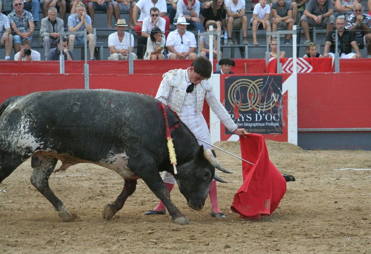 El único derrotado es aquel que deja de soñar #Nodejesdesoñar #BlancoyPlata #Miura #Carcassonne #AlejandroConquero #Temporada2017