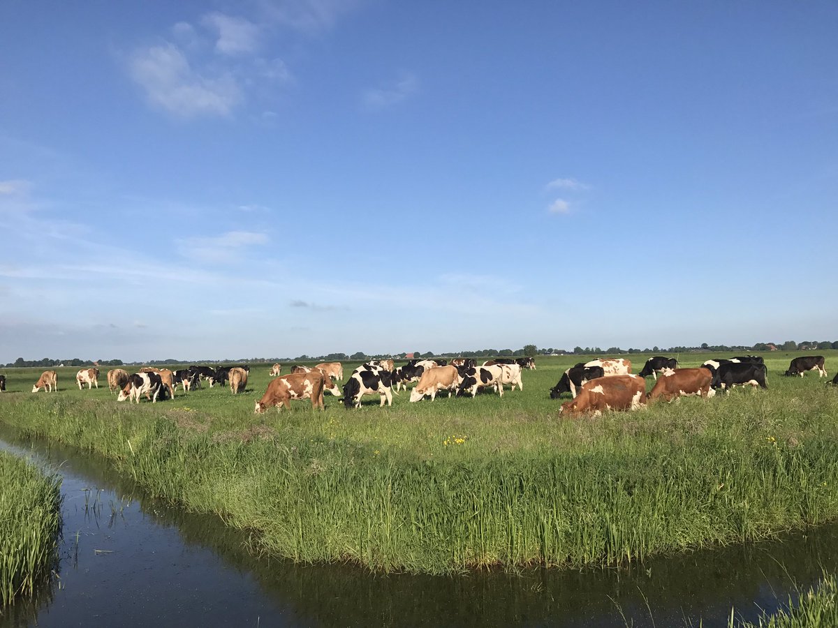 Jaring Brunia tweet media