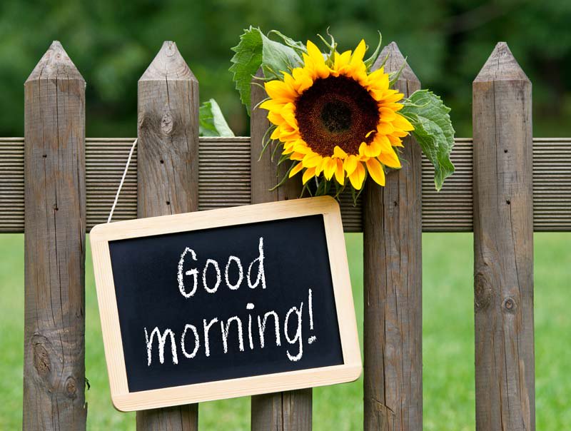 EDG_LLC's tweet photo. Good morning Texas have a wonderful Wednesday! #Faith https://t.co/FedSHFg8lH https://t.co/D1inOcfT3S