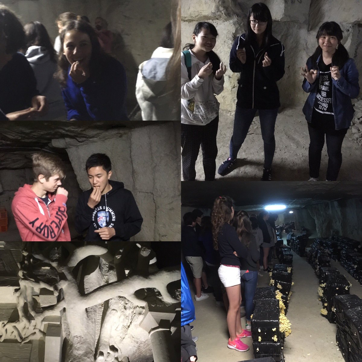 freyk_math's tweet image. Tasting through #Loire2017
First up for Bus C: Mushroom caves of Bourré #mslearns to taste mushrooms