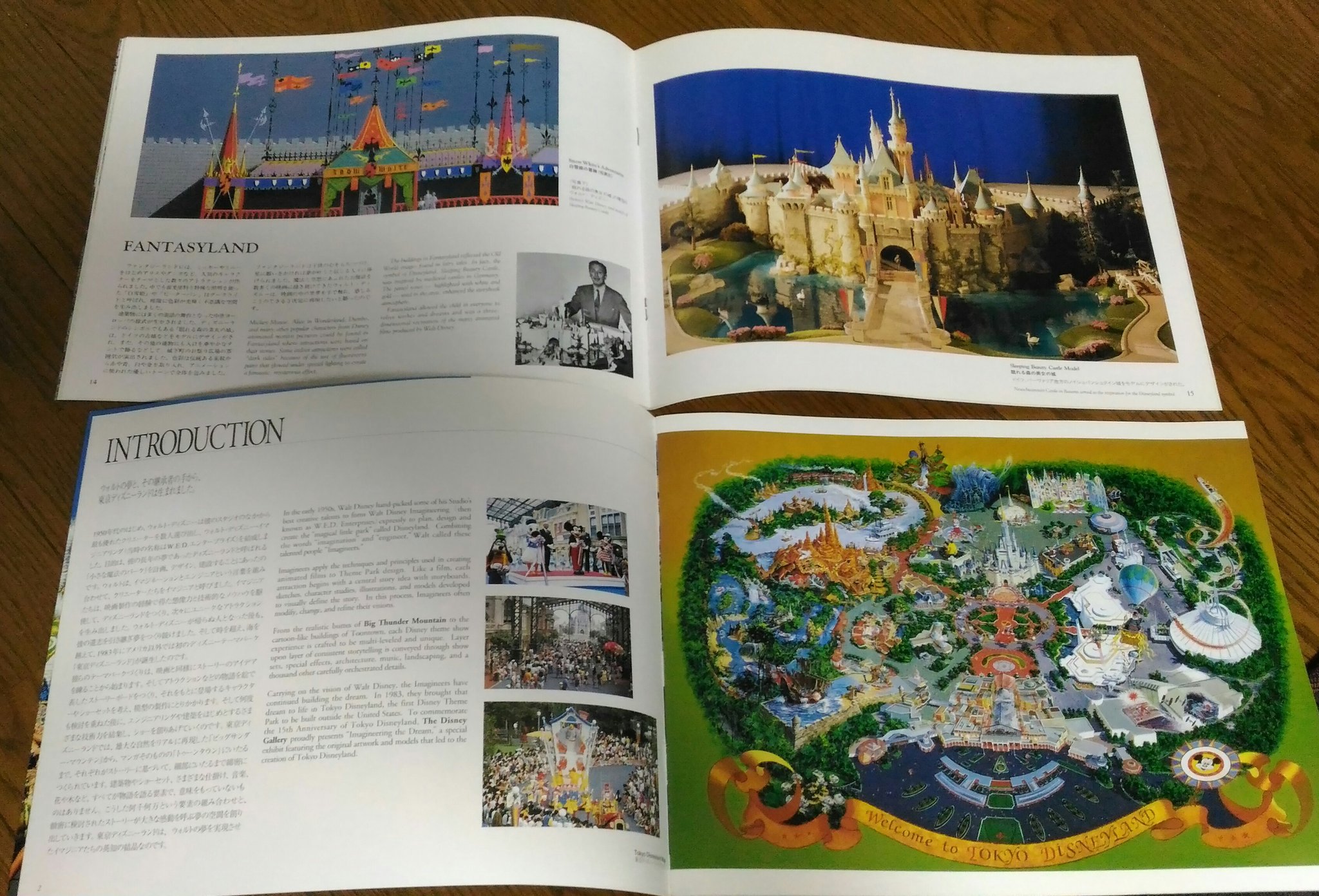 ディズニー 本 61BZcmj6gvL._AC_SY200_QL15_.jpg