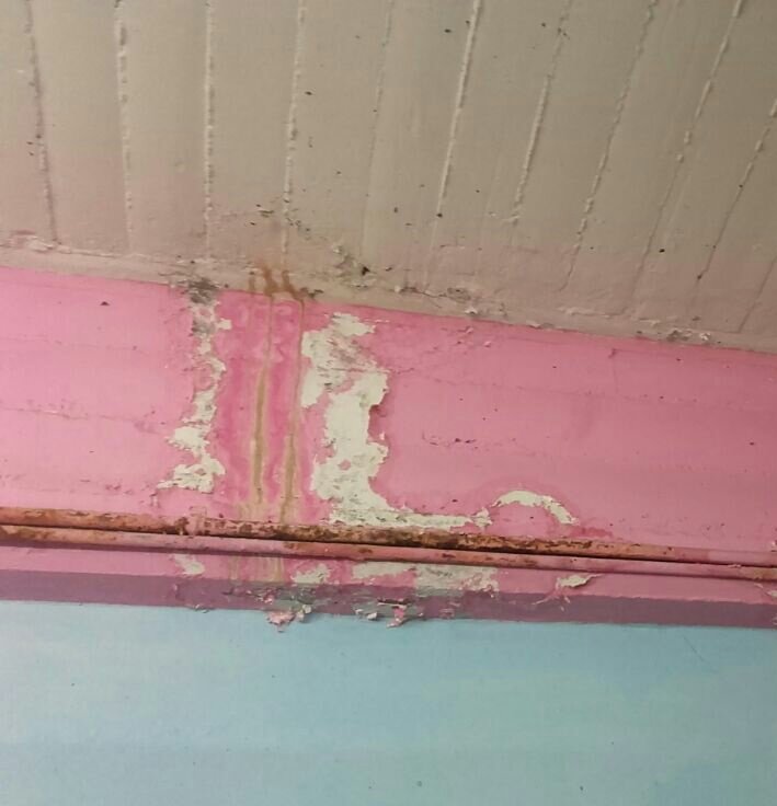 BruRosRoberto's tweet photo. #AlertaEducacion #EscuelasEnRuinas filtraciones y caños electrificados EESN°8 @leonardopesce @almazan_silvia @suteba_pilar @RobiBaradel https://t.co/RyrJuZIdcD
