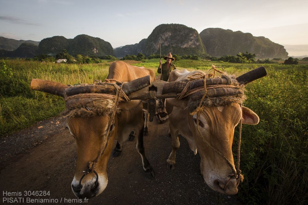 hemisfr's tweet photo. [Travel] Une échappée cubaine 🇨🇺avec le regard auteur de Beniamino Pisati !
© https://t.co/13pctw0Arh #Cuba #CubaTravel @MinturCuba #Hemisfr https://t.co/4b0I5gxV09