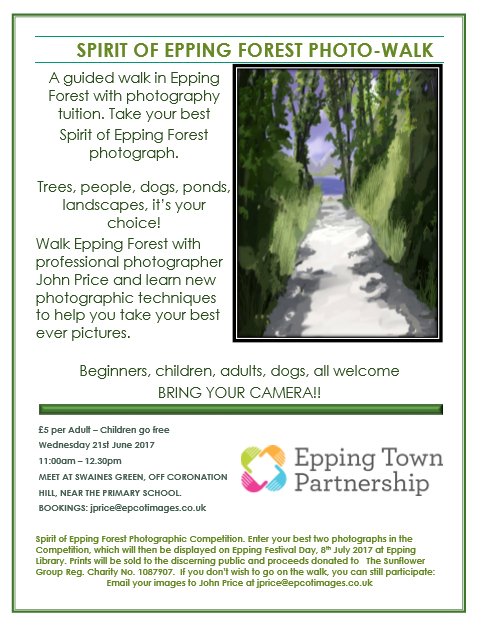 EppingFestival's tweet photo. For those in touch with nature, a forest photo walk in #epping https://t.co/GRaMYTPfxF