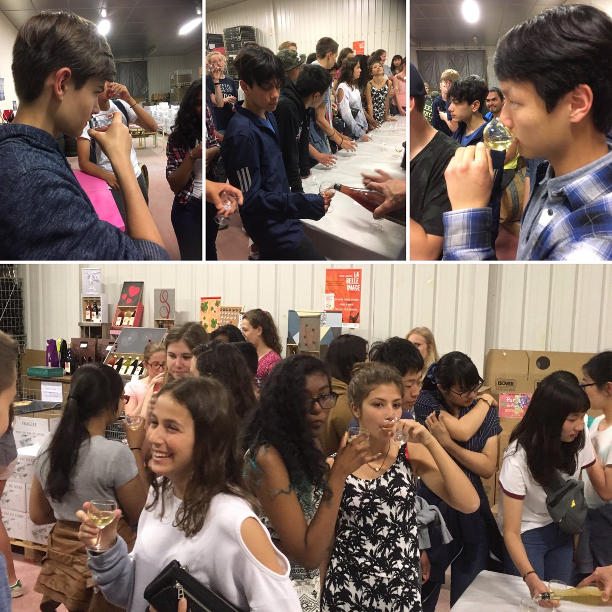 freyk_math's tweet image. Tasting through #Loire2017
Last for Bus C: Tasting grape juice  #mslearns the right way to see, smell and taste the juice.