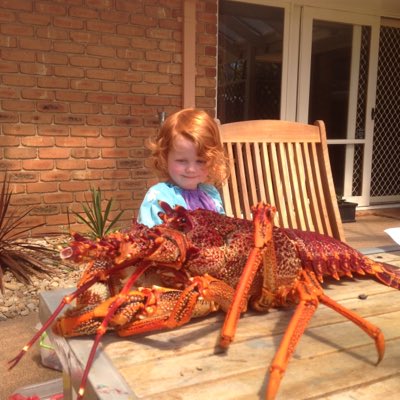 redboatsdiving's tweet photo. #NewProfilePic https://t.co/exzF6wrqR6