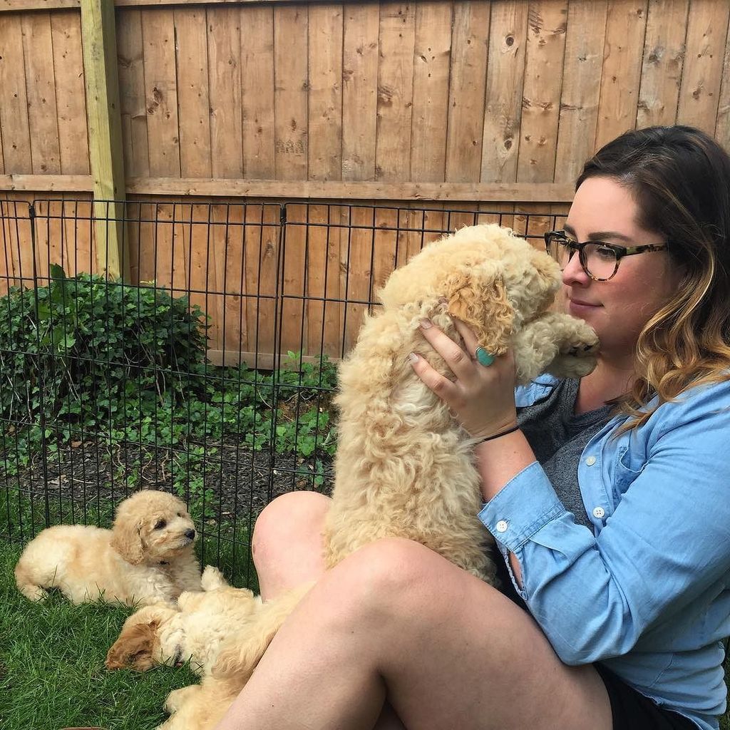 leo_doodcaprio's tweet photo. That moment when your mom picks up all your siblings but just lay there watching her like "Nah, she's gunna be my … https://t.co/d67Mn1F2AV https://t.co/SzDXKgQRe8