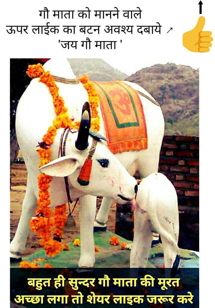 vkgupta100's tweet photo. https://t.co/YBFGnudNRP