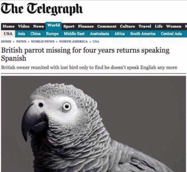 MensHumor's tweet photo. Why is this so funny lmao! https://t.co/EEdAevZKUx