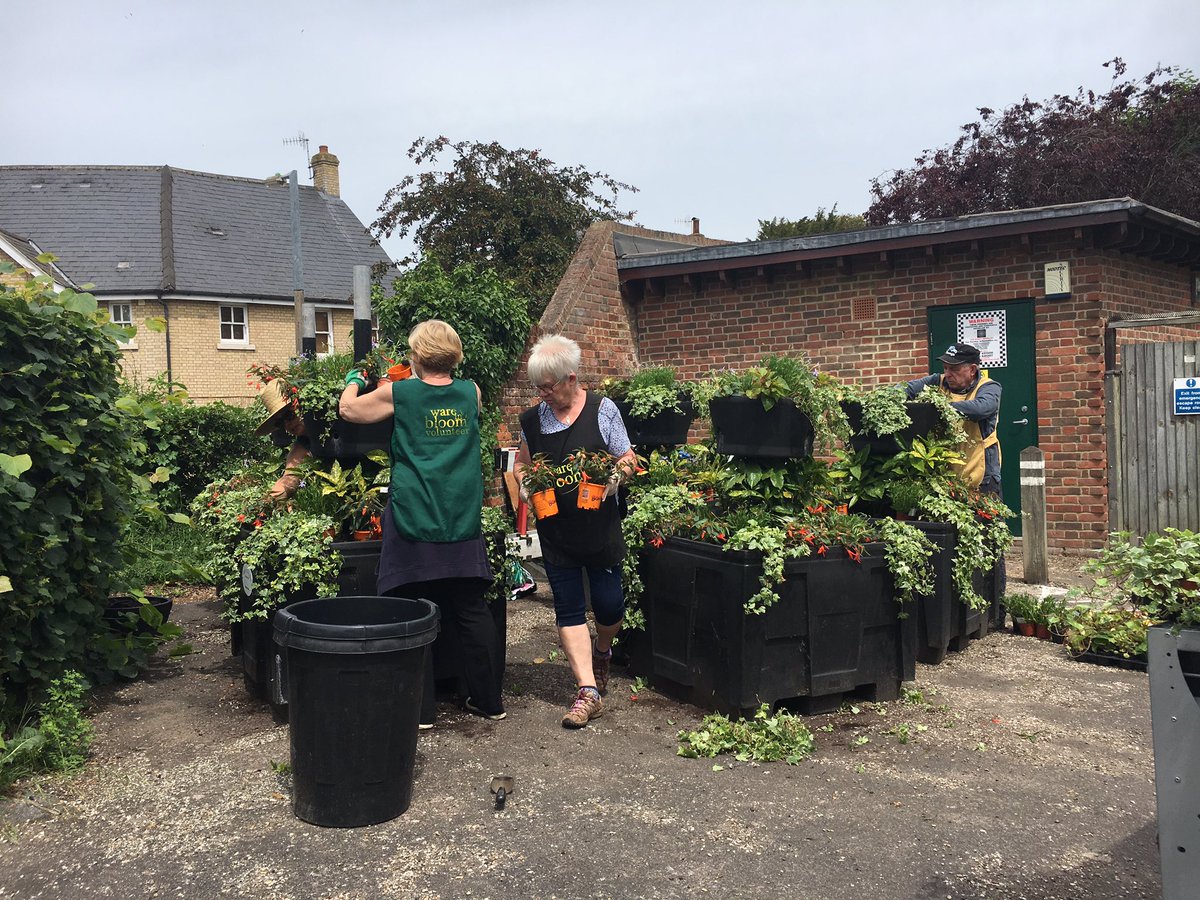 janwingware's tweet photo. More #flowers from #wareinbloom around town #waretowncouncil #cvsbeh #waretourism #wareonline https://t.co/SbgffA0sAB