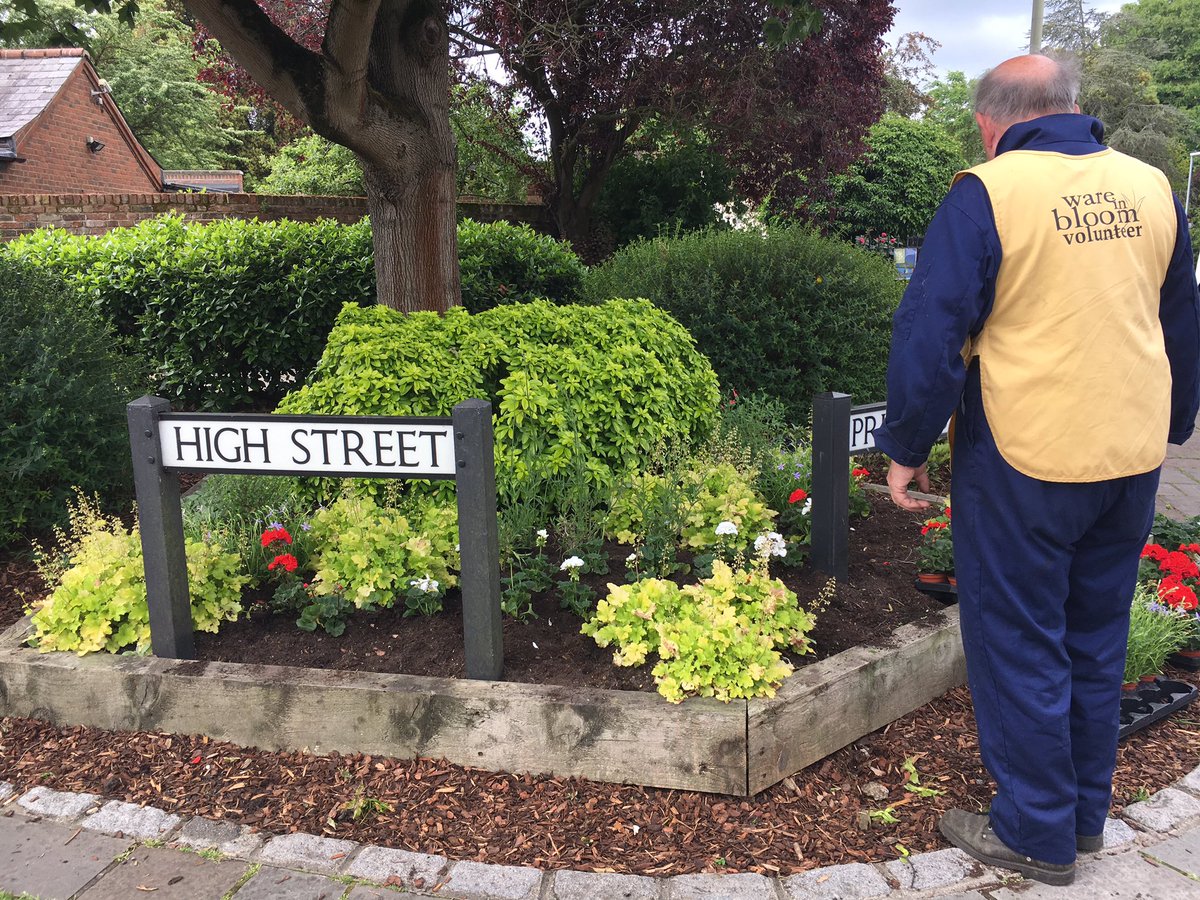 janwingware's tweet photo. More #flowers from #wareinbloom around town #waretowncouncil #cvsbeh #waretourism #wareonline https://t.co/SbgffA0sAB