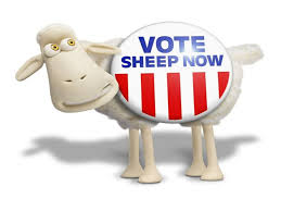 Go Herdwick tweet media