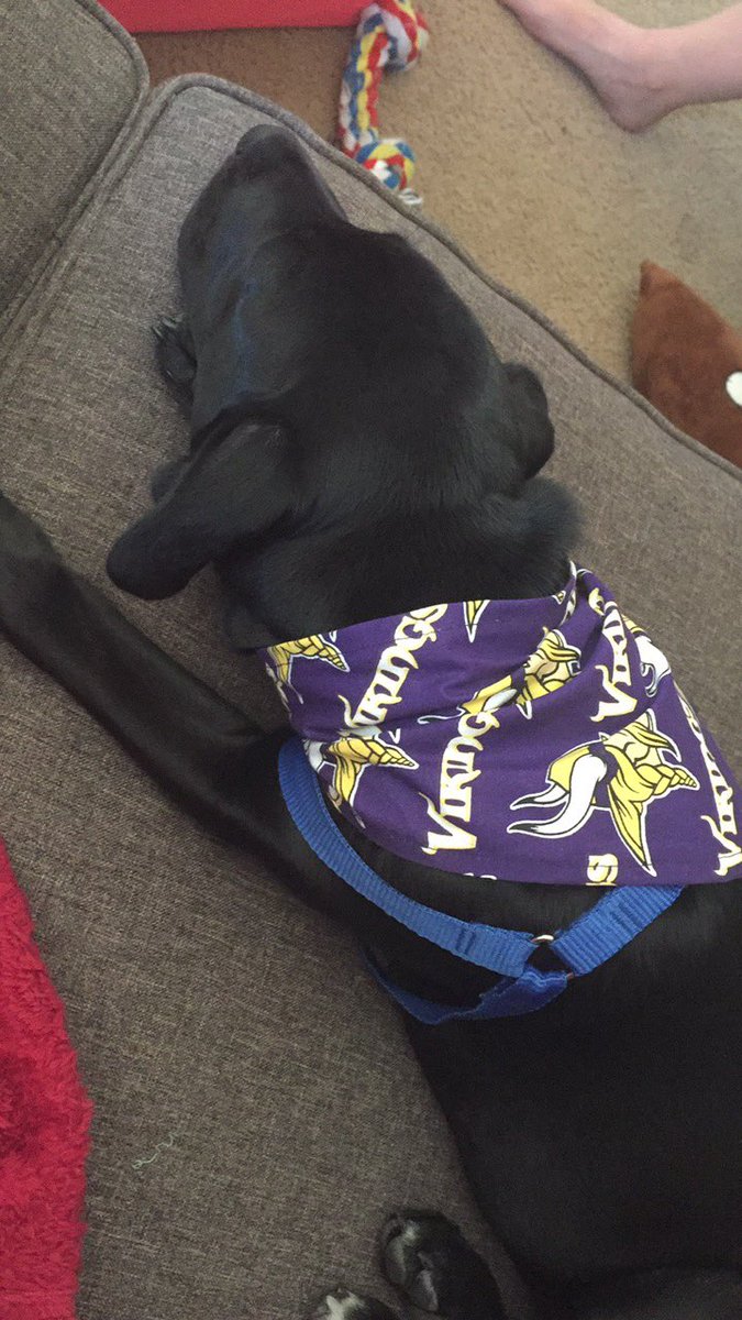 LolaELThedog's tweet image. 103 days until the @Vikings play!!! #sports #athleticdog #iknowthedifferencebetweenoffenseanddefencethankuverymuch