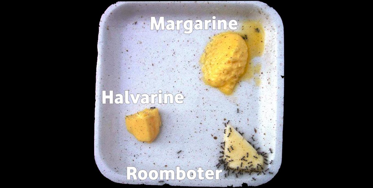 Transvetten in margarine veroorzaken kanker -  healthwatch.eu/transvetten-in…