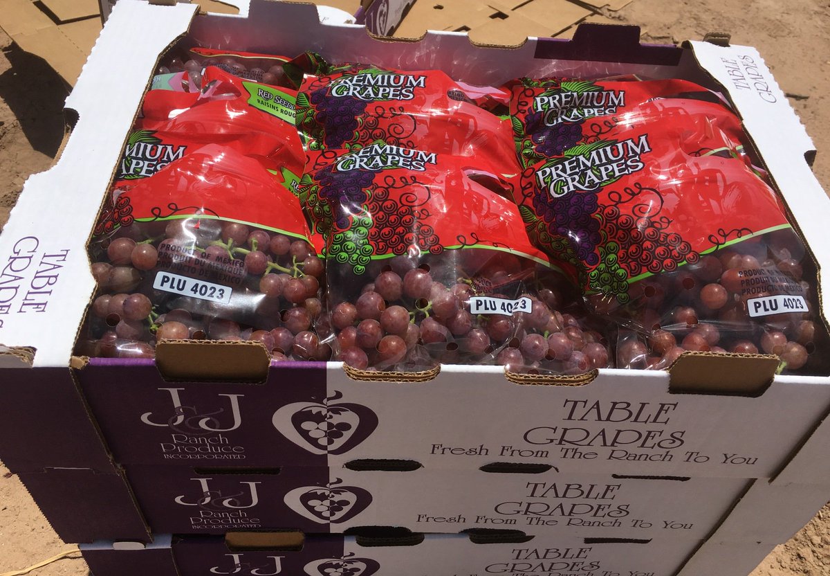 JJRanchProduce's tweet photo. We have started our New Crop JJR Grapes from Caborca! 🍇 https://t.co/80L3IE0j0Q