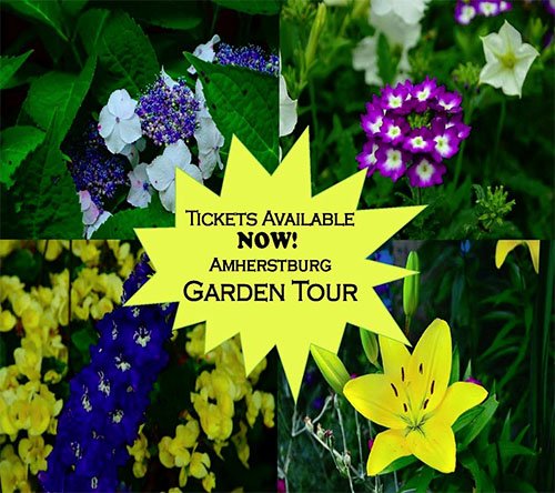 32nd Annual #Amherstburg Garden Tour Tickets Now Available <a href="/Aburg_TownHall/">Town of Amherstburg</a> #CBCeyes #YQG  ow.ly/twRD30cbWOC