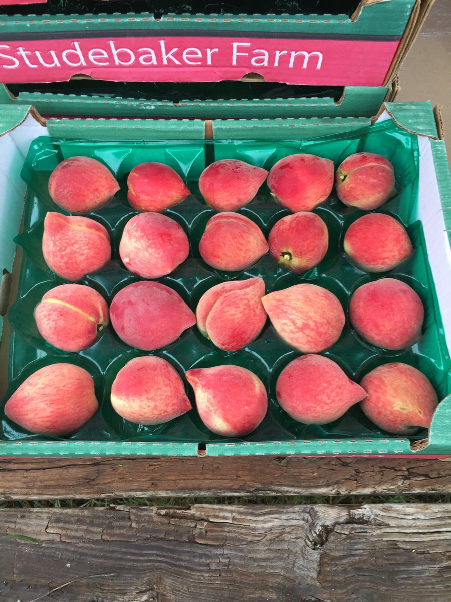 Studebaker_Farm's tweet photo. Opening tomorrow with peaches and blackberries. Varieties available are Regal, June Gold and limited amounts of Dixie Red and Sweet Loriann! https://t.co/BIHPXuBfCo