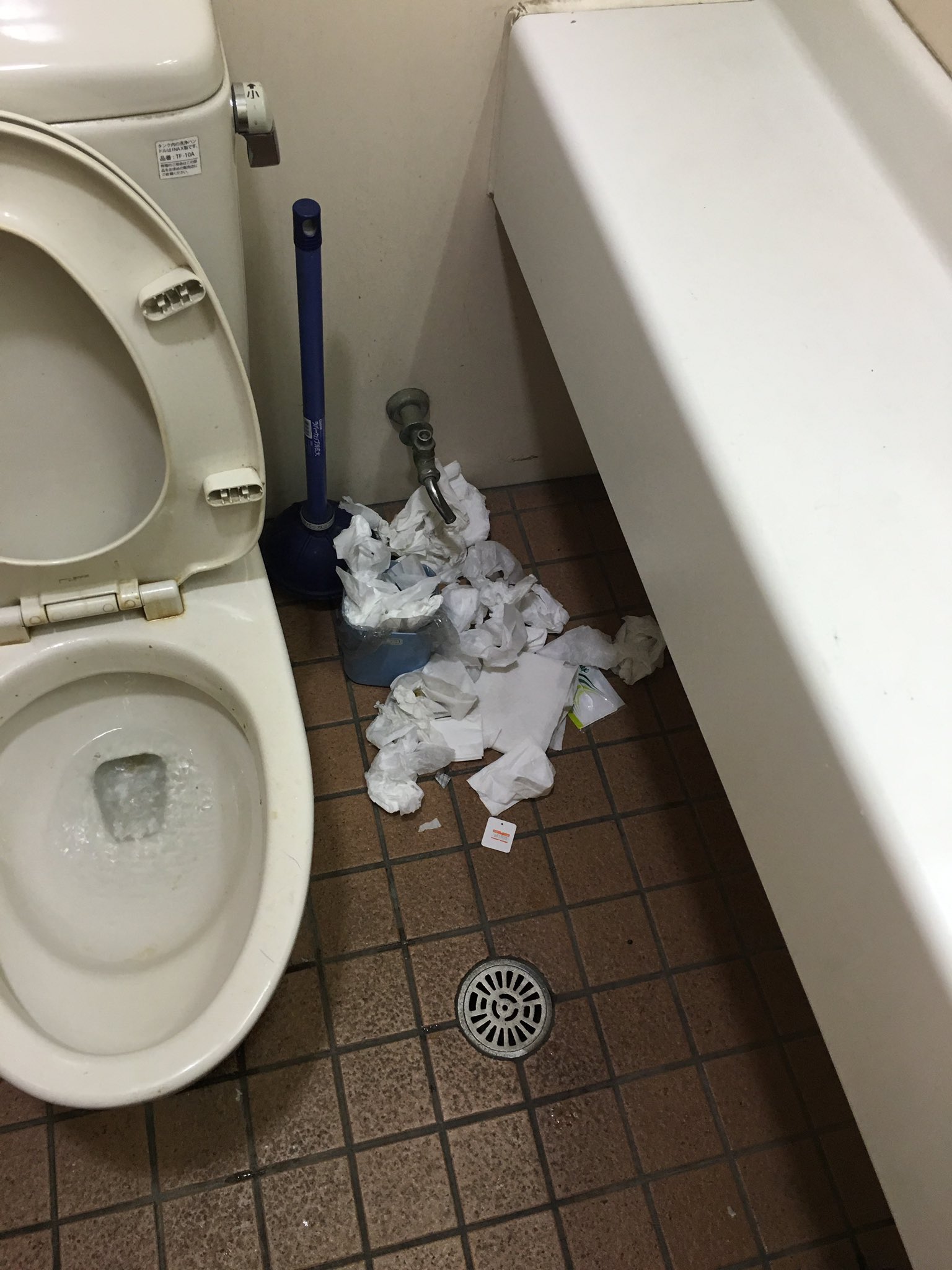 Twitter 上的 竜ノ介 シーシャ はちグラム このトイレを見て絶望を感じたので はちグラムはトイレを絶対に綺麗にキープします これは はちグラムではなくて某コンビニのトイレです 逆にココまでなってるの凄いよね 掃除したくなっちゃうよね ペーパーだけまとめて