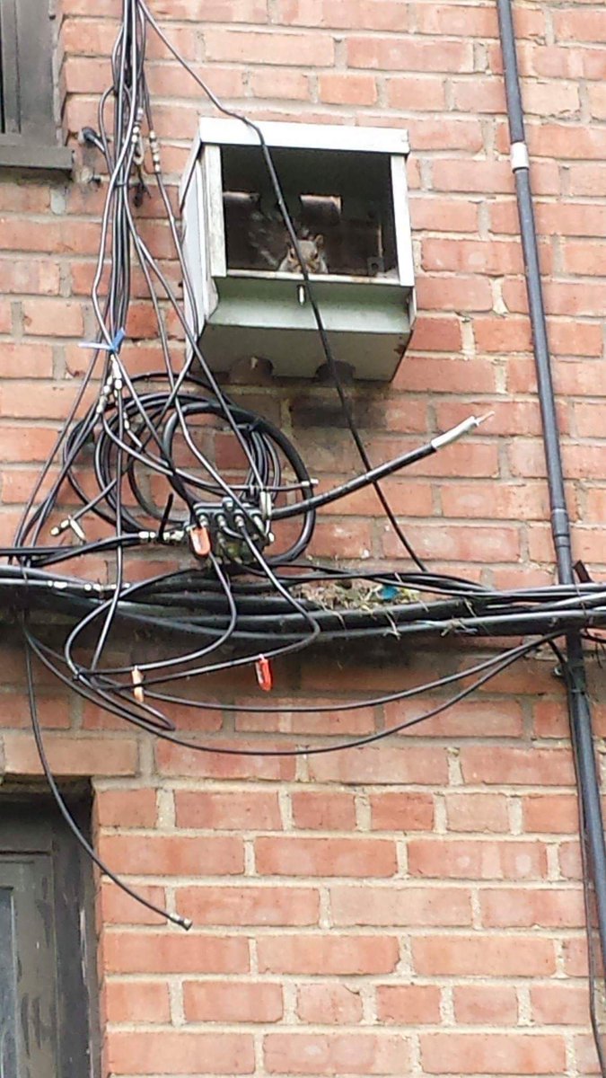 Actionpak300's tweet image. Ever wonder why your cable not working? #Local3againstSpectrum #Faircontract. Bring  your Union workers back.