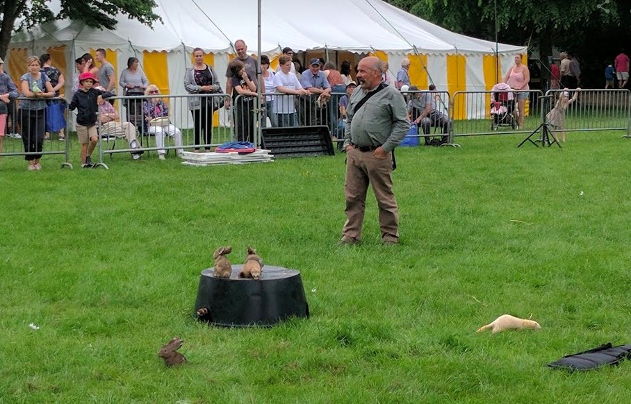 Staffs Showground tweet media