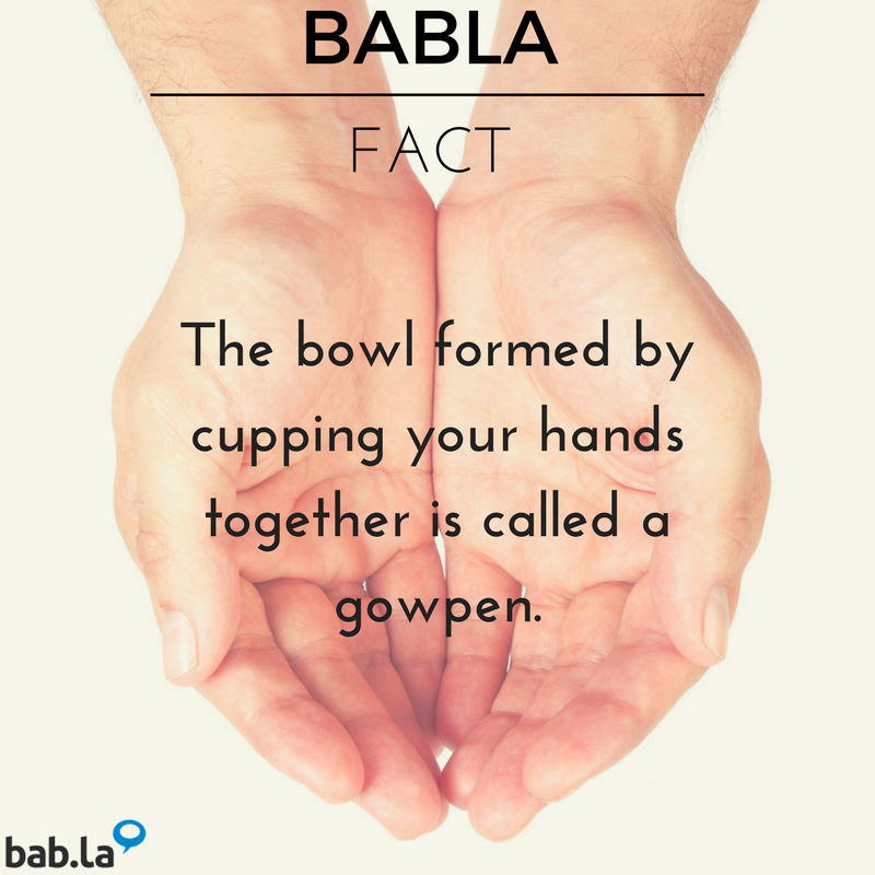 babla's tweet photo. Did you know? π #bablafact #funfact #languages #English #fun https://t.co/ogqbgJv6wx