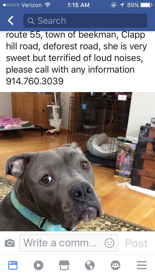 🧚🏼‍♀️ tweet media