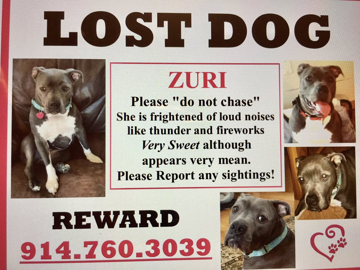 🧚🏼‍♀️ tweet media