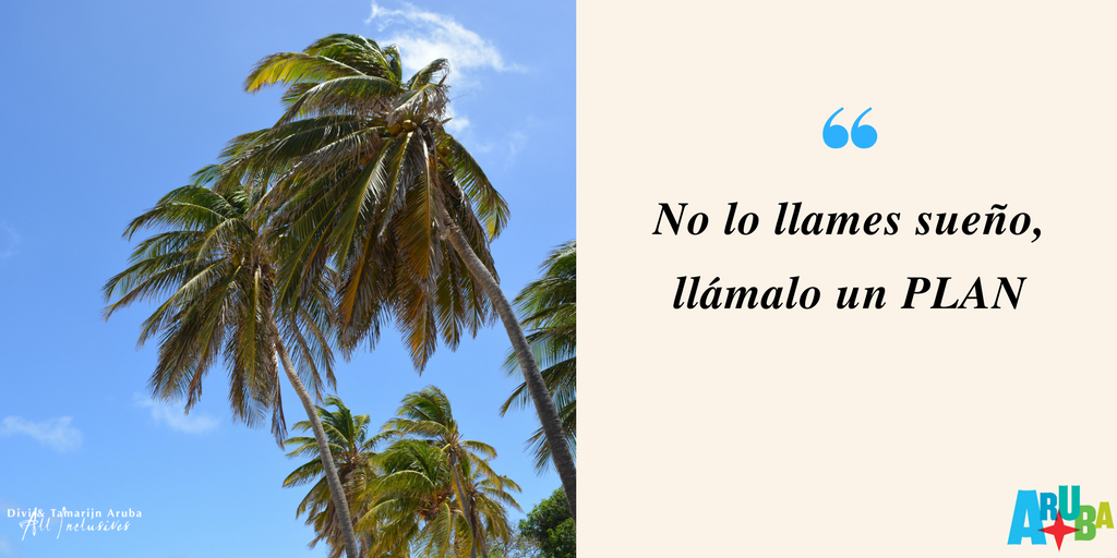Que tu plan sea venir a visitarnos en #DiviTamarijn, porque es un hecho que #NecesitasAruba #OneHappyIsland 😎🌴
