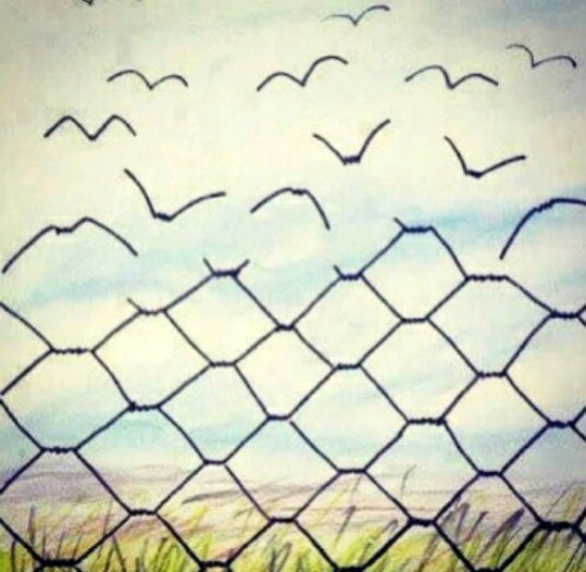 Audreynotaudrey's tweet photo. #conWhitman #ventaglidiparole 

A partire da quest'ora mi ordino libero di limiti e linee immaginarie 

Whitman https://t.co/p0sxx5KVdg