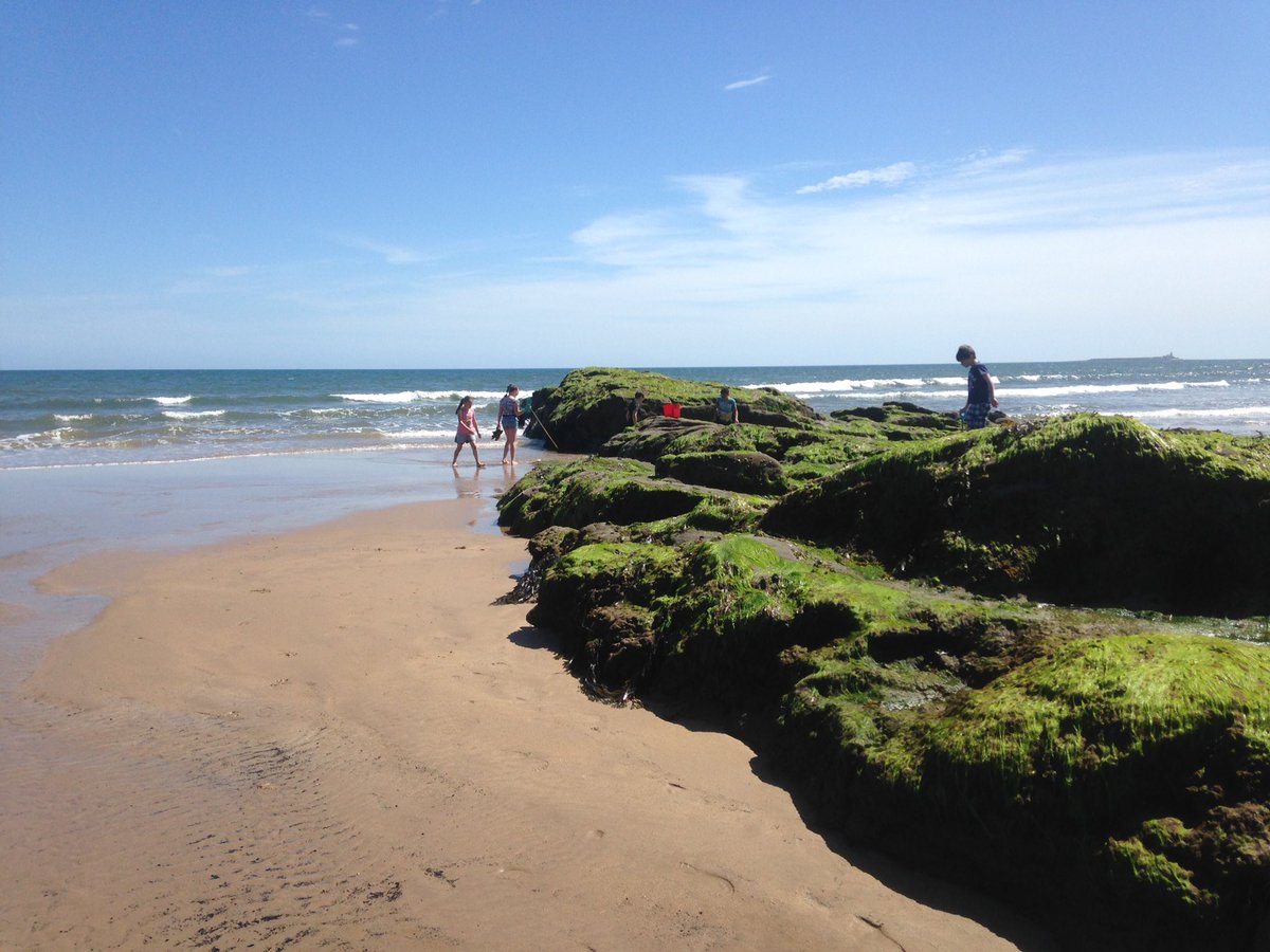 Peter_NEYouth's tweet photo. @NEYouth_ @DiveRAIDInt class day out at the beach with the Shilbottle group 🌞🌞#youngpeople #youthwork #beach https://t.co/oIb0Ub1YoX