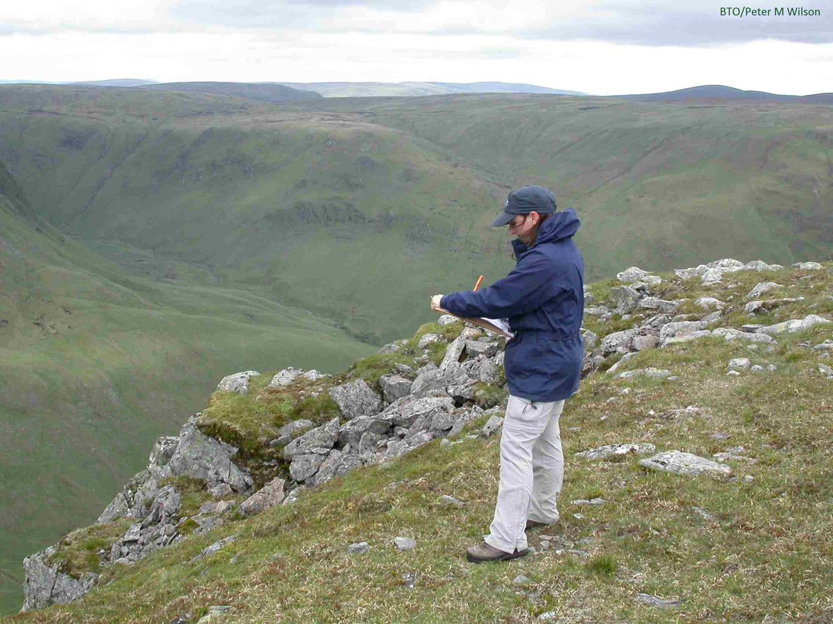 Breeding Bird Surveys tweet media