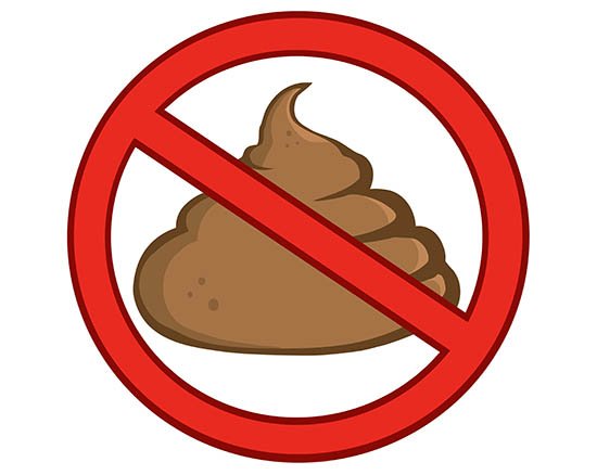 EcologyNorth's tweet photo. Dog poop is NOT compostable in YK. The Solid Waste Facility has a yellow dumpster for it. Ask at the gate! #notcompost @OurYellowknife https://t.co/TpJYzeghQQ