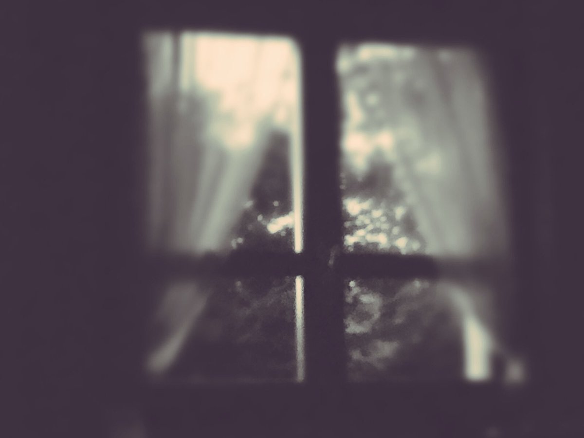 🚶🏻‍♂️Riccardo tweet media