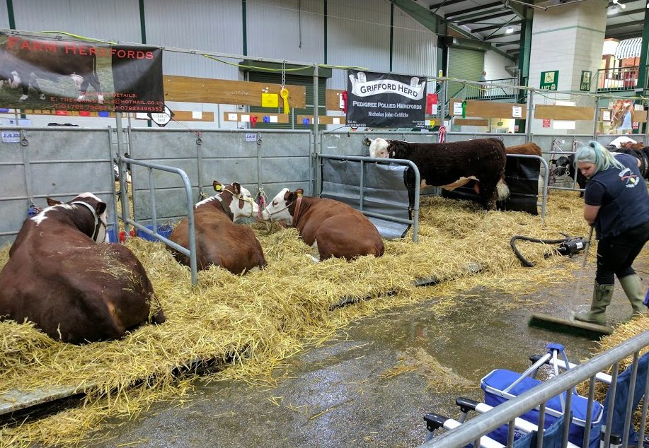 Staffs Showground tweet media