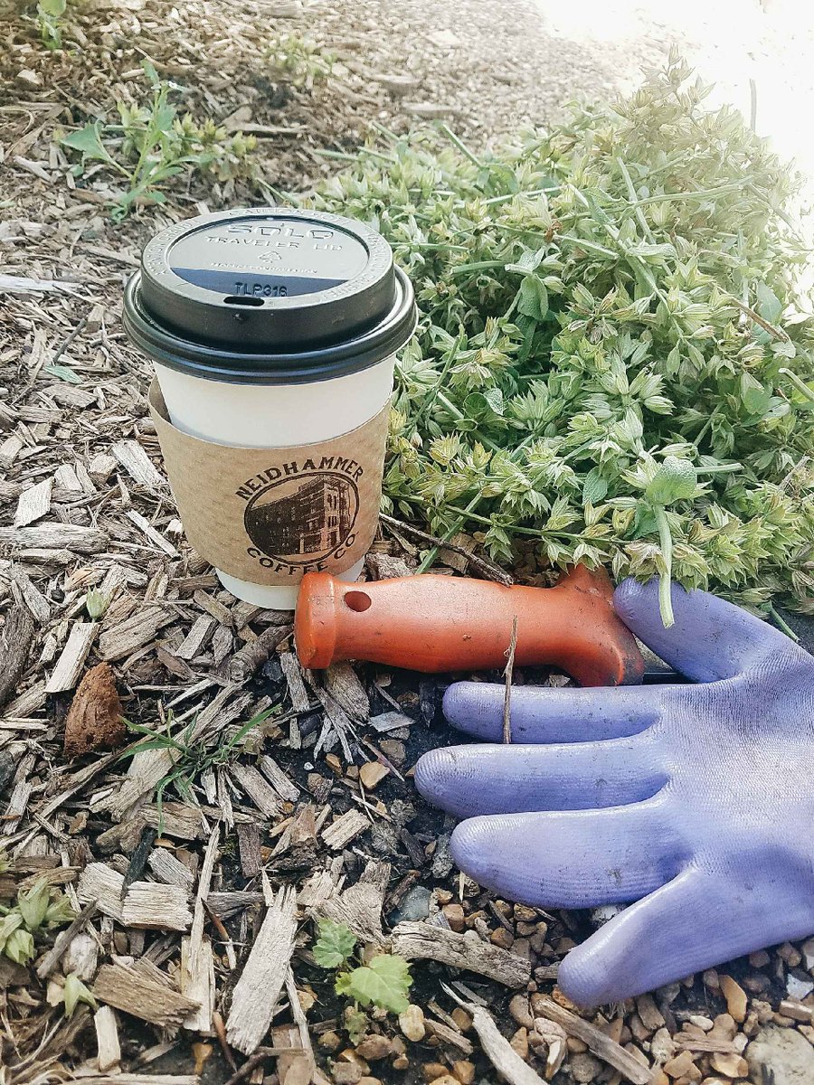 Where do you need your coffee? Attach #neidcoffeehere to show us where you take your coffee // #neidcoffee #neidhammer #garden